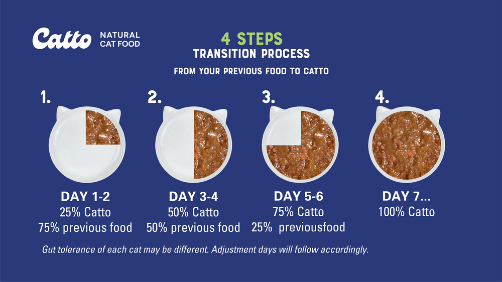 Transition Your Cat to Catto Natural Cat Food: A Smooth Switch to a healthier life